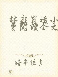 林毅肖远小说免费阅读全文最新章节