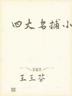 四大名捕小说