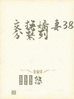 交换娇妻38部分系列