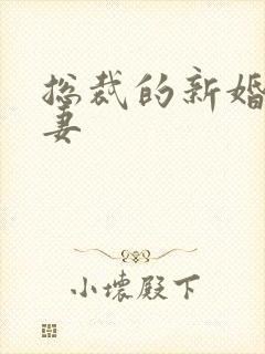 总裁的新婚下堂妻