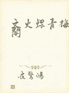 文火煨青梅笔趣阁