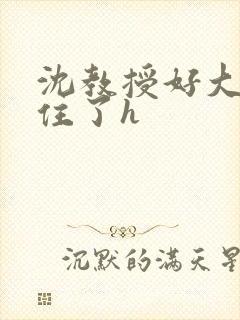 沈教授好大含不住了h