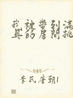 我被带到满是玩具的房间挑调作文