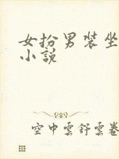 女扮男装坐江山小说