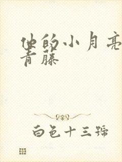 《他的小月亮by青藤》小说封面