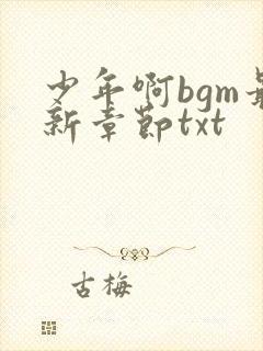 少年啊bgm最新章节txt