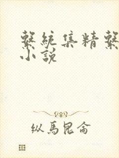 系统集精系统 小说