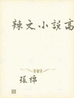 辣文小说高h