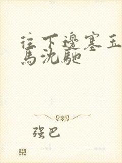 往下边塞玉器骑马沈驰