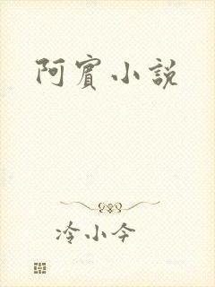 阿宾小说