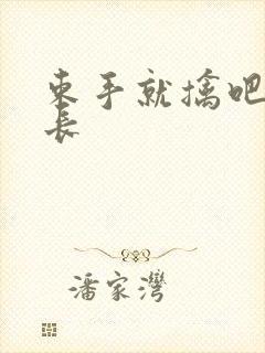 束手就擒吧韩队长