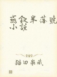 燕钗半落琥珀糖小说