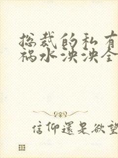 总裁的私有宝贝祸水泱泱全文阅读