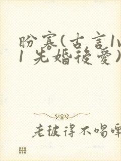 盼寡(古言1v1 先婚后爱)荔枝好多