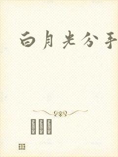 白月光分手日常