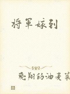 将军嫁到