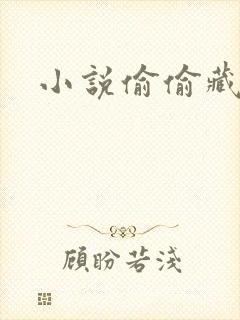 小说偷偷藏不住