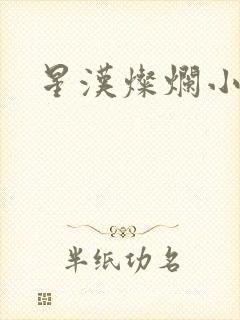 星汉灿烂小说
