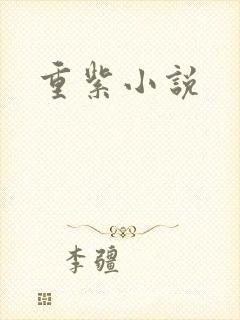 重紫小说