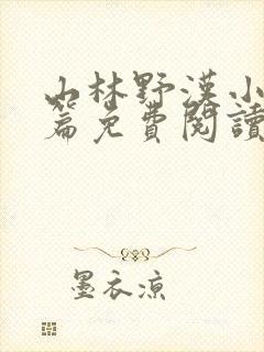 山林野汉小说全篇免费阅读封面