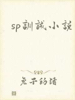 sp训诫小说