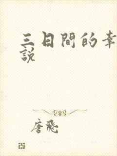 三日间的幸福小说