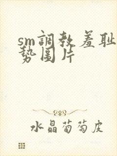 sm调教羞耻姿势图片