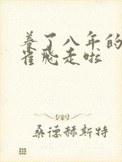 养了八年的金丝雀飞走啦