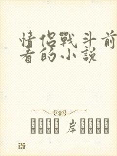 情侣战斗前适合看的小说