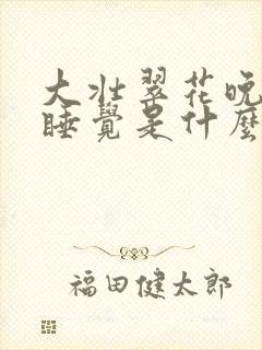 大壮翠花晚上不睡觉是什么电视剧