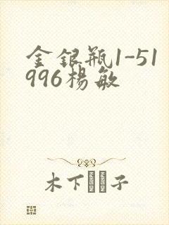 金银瓶1-51996杨敏封面
