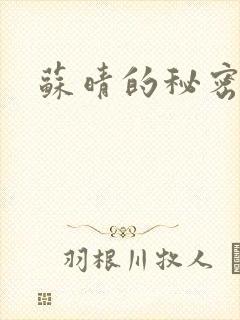 苏晴的秘密小说