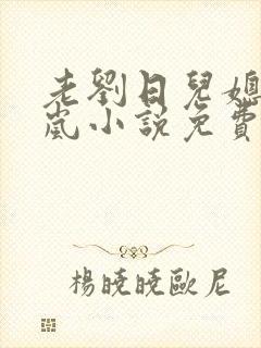 老刘日儿媳妇张岚小说免费阅读