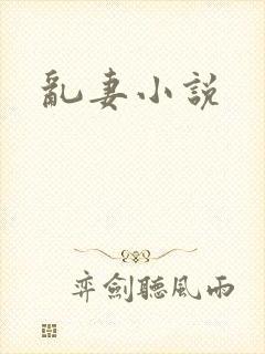 乱妻小说