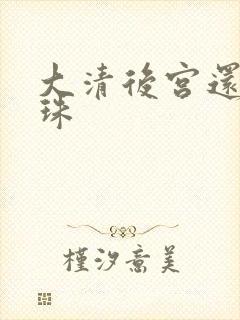 大清后宫还君明珠