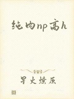 纯肉np高h