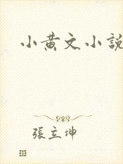 小黄文小说