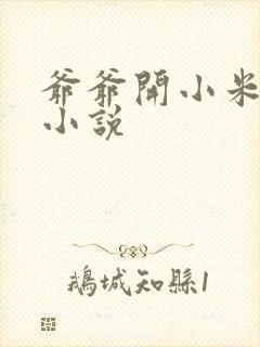 爷爷开小米的包小说