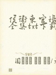 侯卫东官场笔记全集txt下载