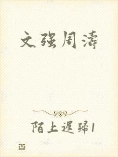 文强周涛