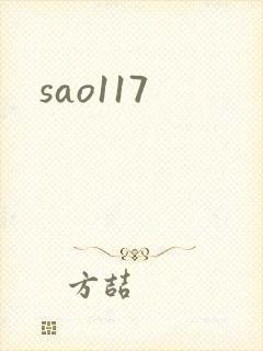 sao117封面