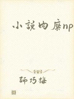 小说肉糜np