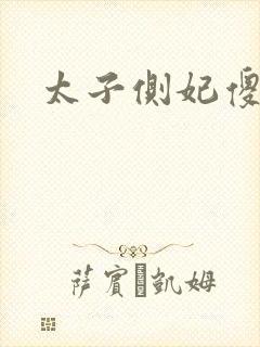 太子侧妃傻乎乎