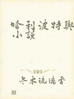 哈利波特与密室小说