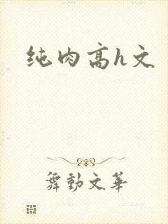 纯肉高h文