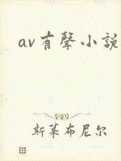 av有声小说