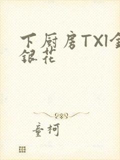 下厨房TXl金银花