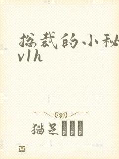 总裁的小秘书1v1h