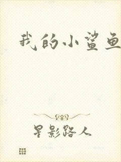 我的小鲨鱼
