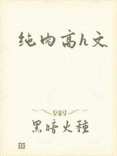 纯肉高h文